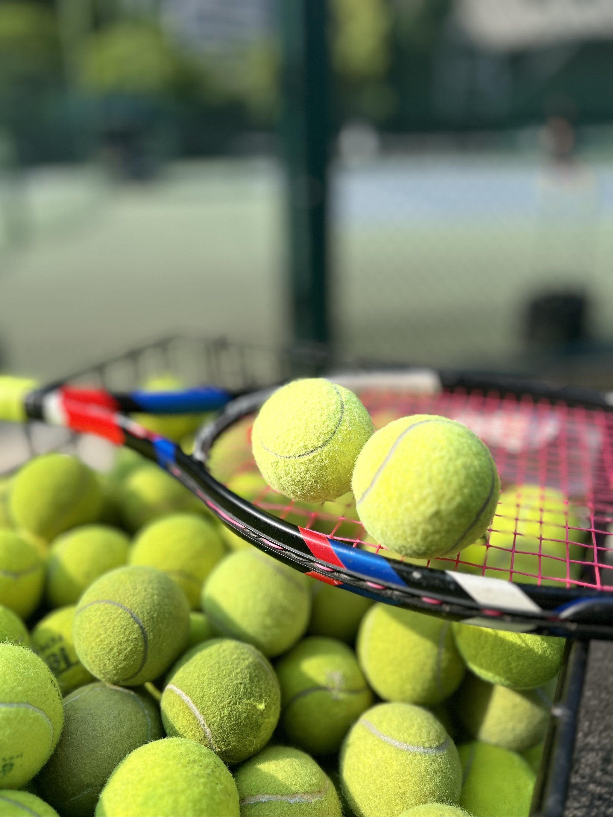 布会上提到 布会上提到